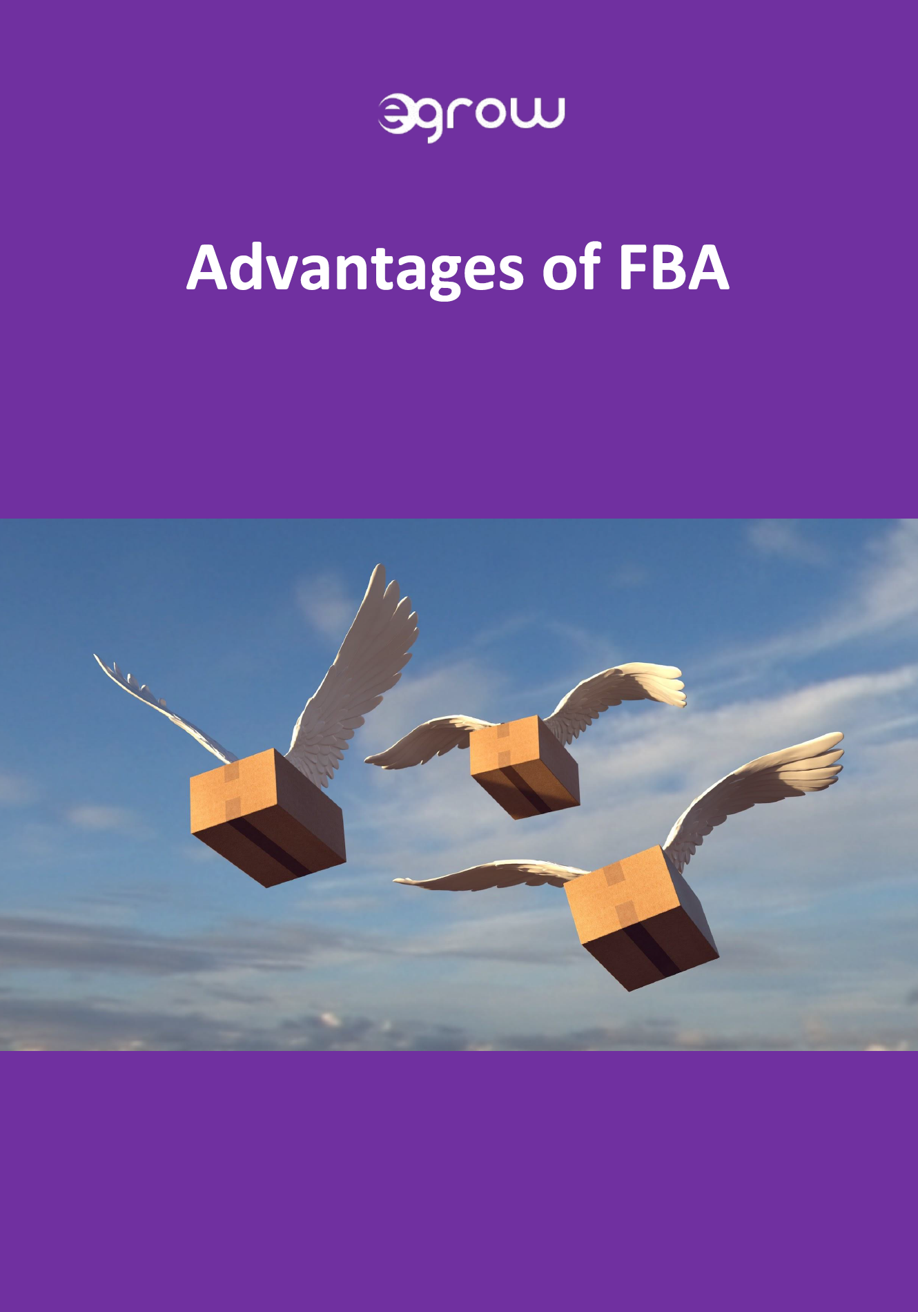 FBA Advantages